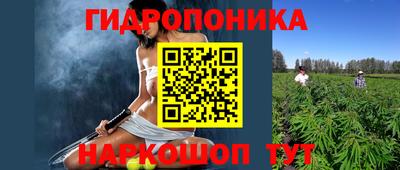 мяу мяу мука Заводоуковск