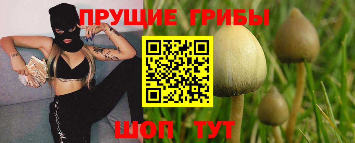 Псилоцибиновые грибы GOLDEN TEACHER  Псилоцибиновые грибы мицелий  Вход с VPN  Кыштым 